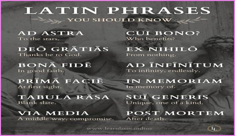 A Profile Of A Latin Beauty